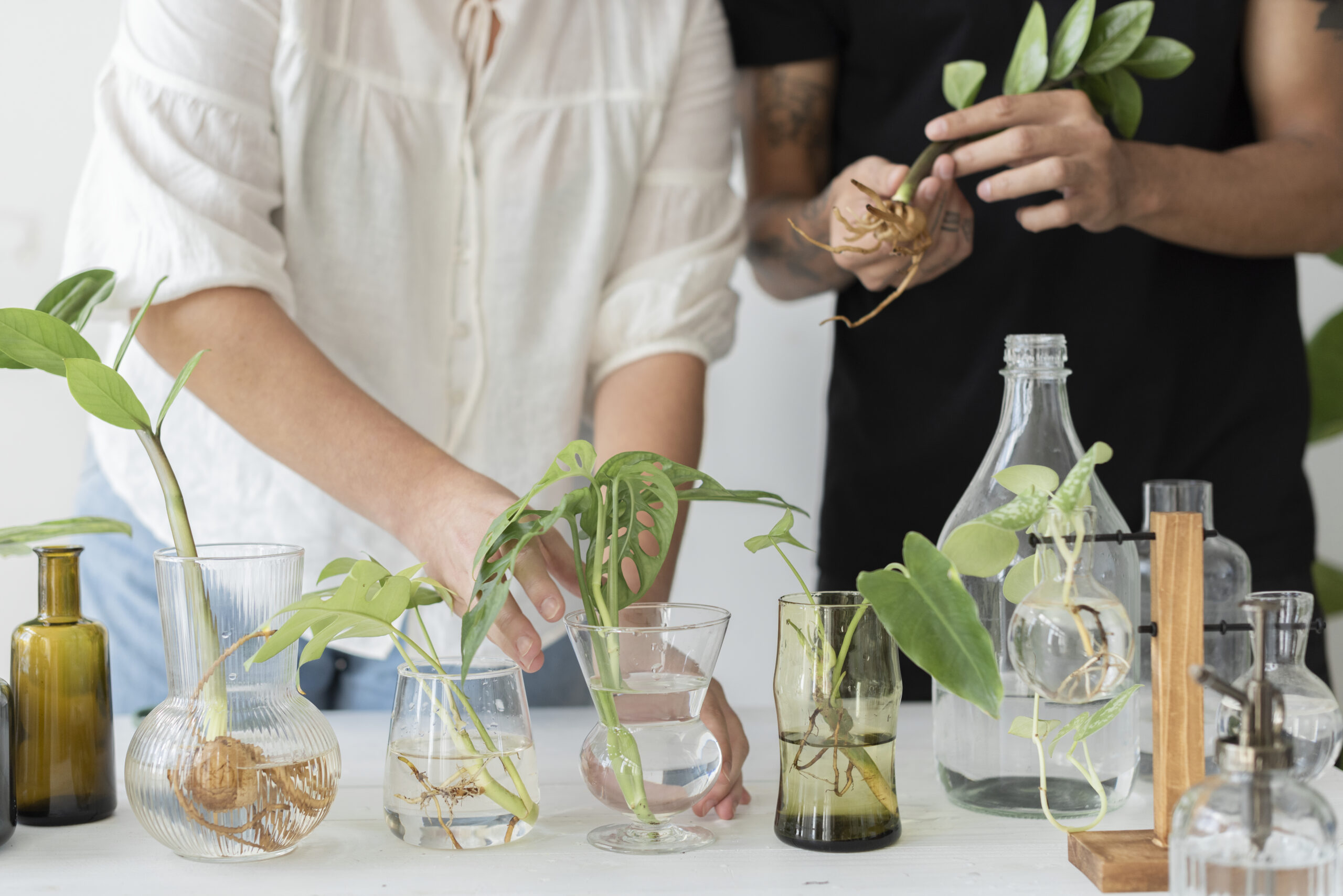 Certificate in Environmental Science at a university in the Australia, located in Sydney or Melbourne